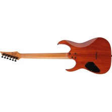 GRGR221FATDK Ibanez GRGR221FA-TDK Guitarra Eléctrica Transparent Indigo Black