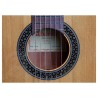 Alhambra 1C HT Electrificada Ez Fishman Clasica II