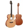 Alhambra Auditorio E9 Fishman Flex M Blend Luxury