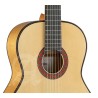 Alhambra 10FC Fishman Prefix-Plus (E3) 