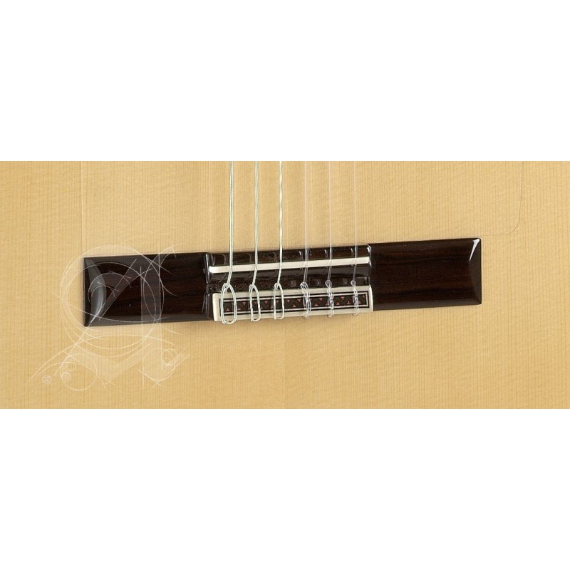 ALHA-8224-E3 Alhambra 10FC Fishman Prefix-Plus (E3) 