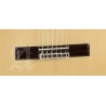 Alhambra 10FC Fishman Prefix-Plus (E3) 
