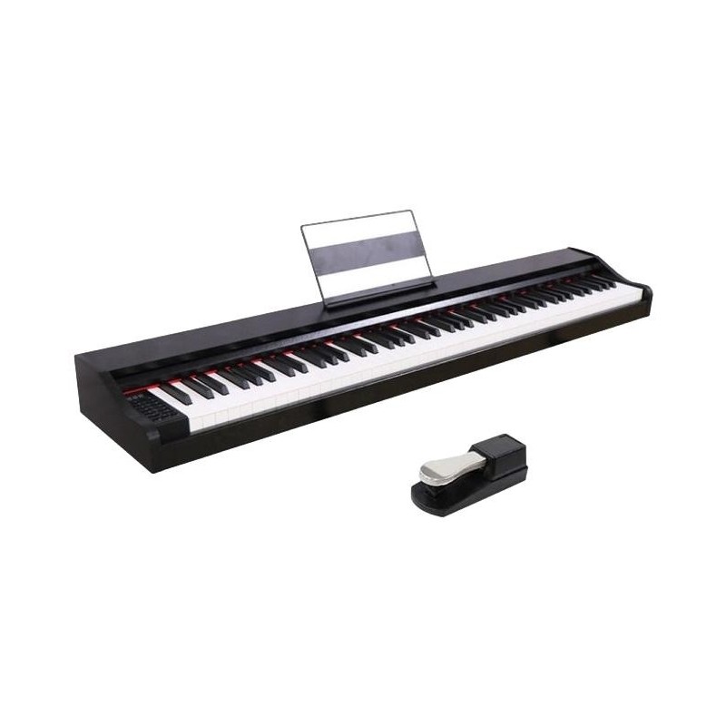 PROM-P135BK Prokeys P135 BK 88 teclas contrapesadas