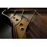 KAWAI GL-30 ATX4 Negro Pulido 166cm