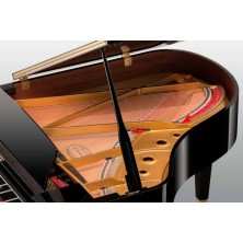 kawa-GL10ATX2PE KAWAI GL-10 ATX4 Negro Pulido 153cm