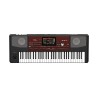 Korg Pa700