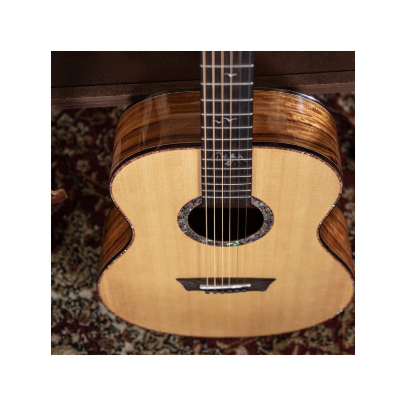 BTS24SDU Washburn Bella Tono Elegante S24S Gloss Natural Guitarra Acústica