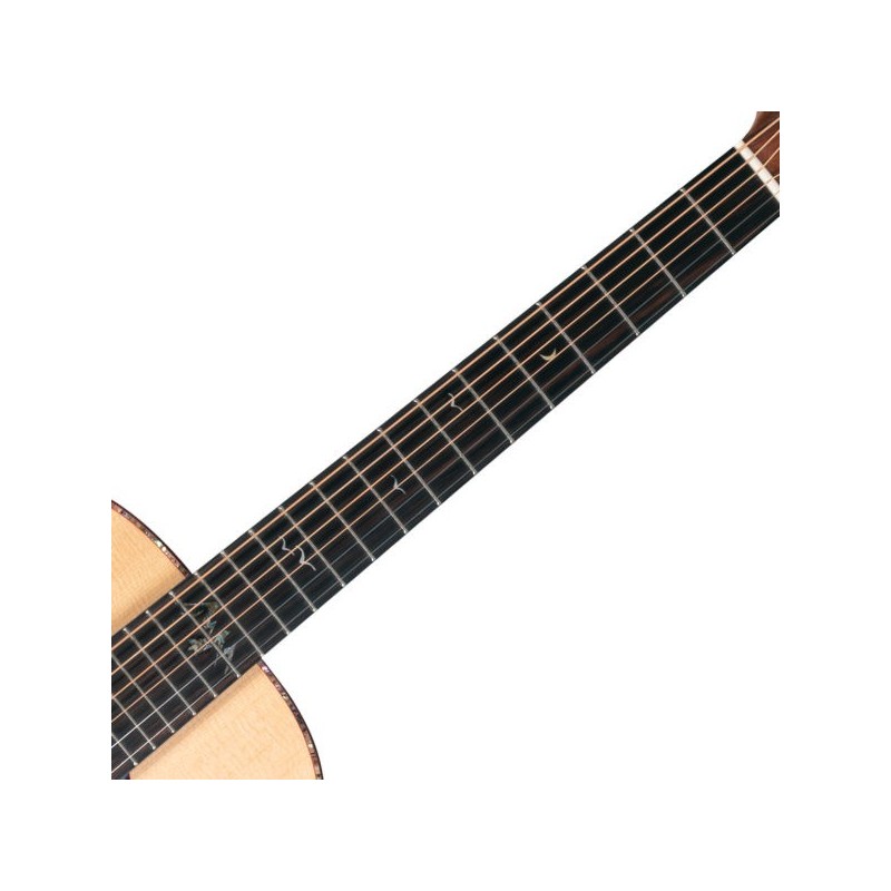 BTS24SDU Washburn Bella Tono Elegante S24S Gloss Natural Guitarra Acústica