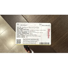 ALHA-5036 Alhambra J.M Vilaplana Exótico con tapa de Cedro Nitro