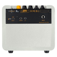 ADAG-1007231 Ortega PTWO-LTD Amplificador guitarra Acústica