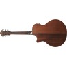 Ibanez AE140-OPN Guitarra Electroacústica Open Pore Natural