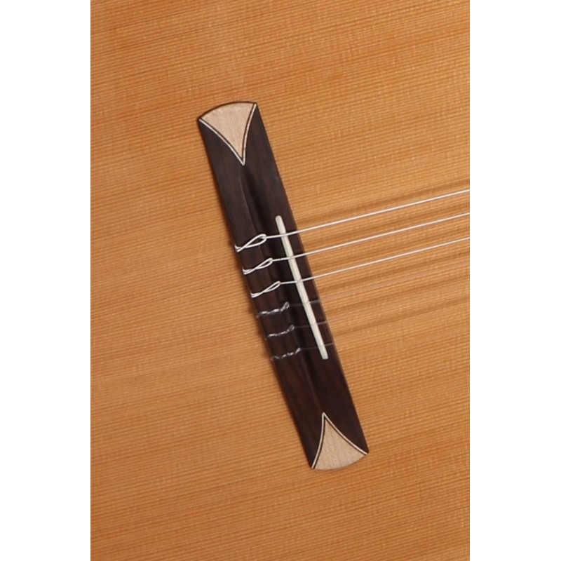 8736 V 9738 Alhambra CS-1 CW ELECTRIFICADA FISHMAN E1+ Funda 9738 25mm