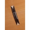 Alhambra CS-1 CW ELECTRIFICADA FISHMAN E1+ Funda 9738 25mm