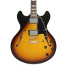 D'Angelico Premier DC Vintage Sunburts