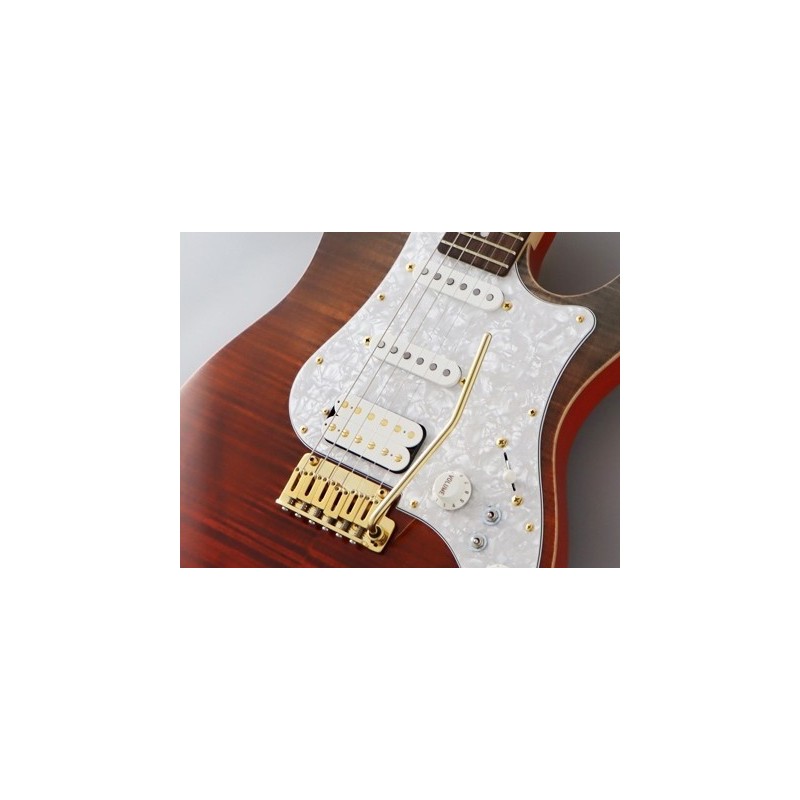 EOS2FMRRKG Fujigen Expert Odyssey Ripe Kaki Gradiation Guitarra Eléctrica