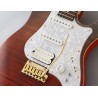 Fujigen Expert Odyssey Ripe Kaki Gradiation Guitarra Eléctrica