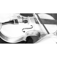 VL21C PRODIPE VL21C MICRÓFONO PARA VIOLINES Y VIOLAS