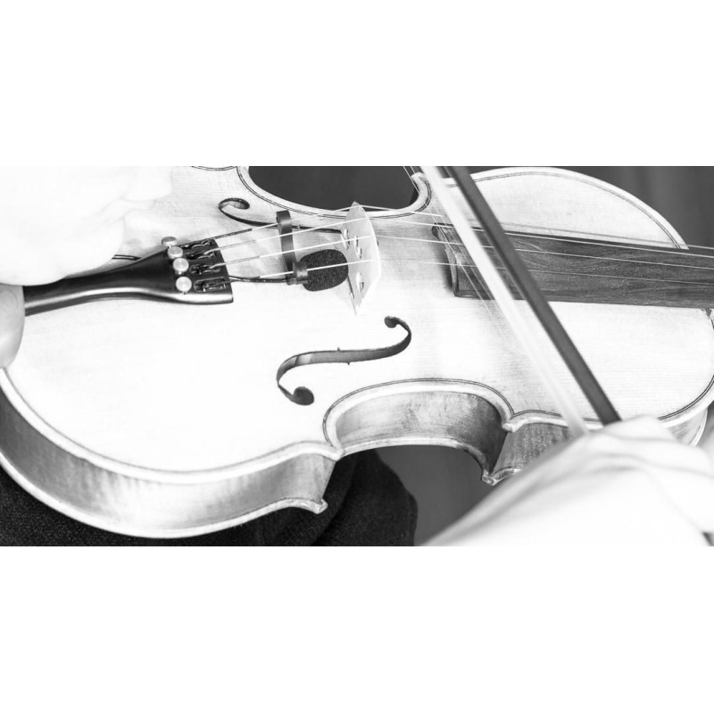 VL21C PRODIPE VL21C MICRÓFONO PARA VIOLINES Y VIOLAS