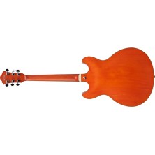 AS73TTF Ibanez AS73-TTF Guitarra Eléctrica Hollowbody