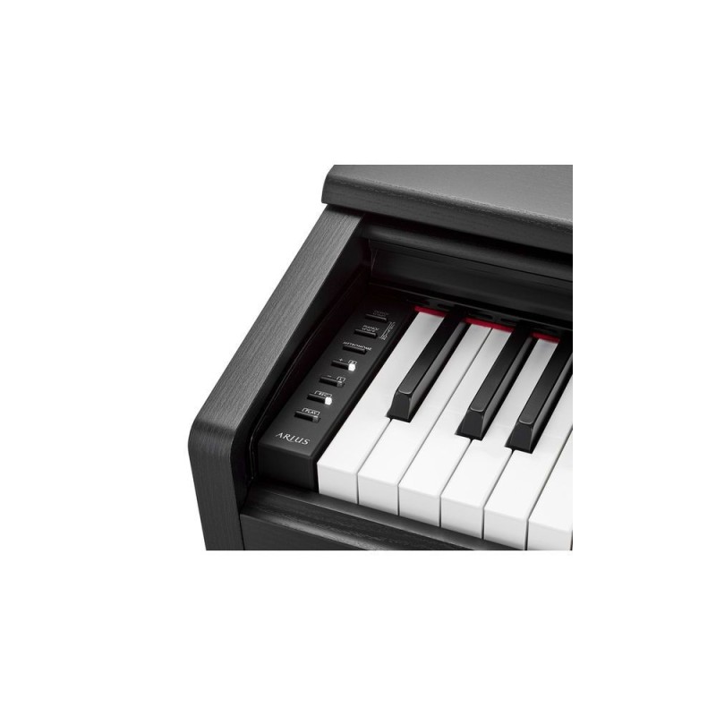 NYDP145B Yamaha Ydp145 B Arius Negro