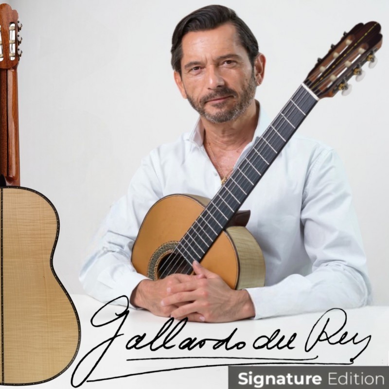 GALLARDOARCE Antonio de Toledo José María Gallardo del Rey Arce Rizado Guitarra clásica