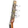 Antonio de Toledo José María Gallardo del Rey Arce Rizado Guitarra clásica