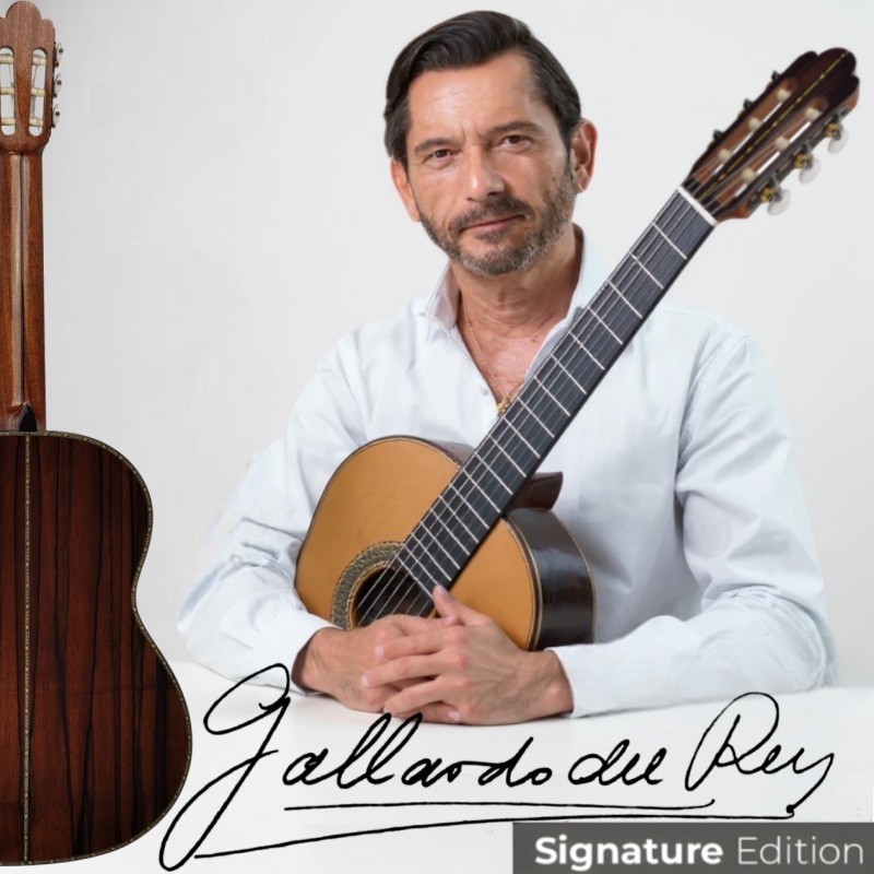 GALLARDOPALOSAN  Antonio de Toledo José María Gallardo del Rey Palosanto de Patagonia Guitarra clásica 
