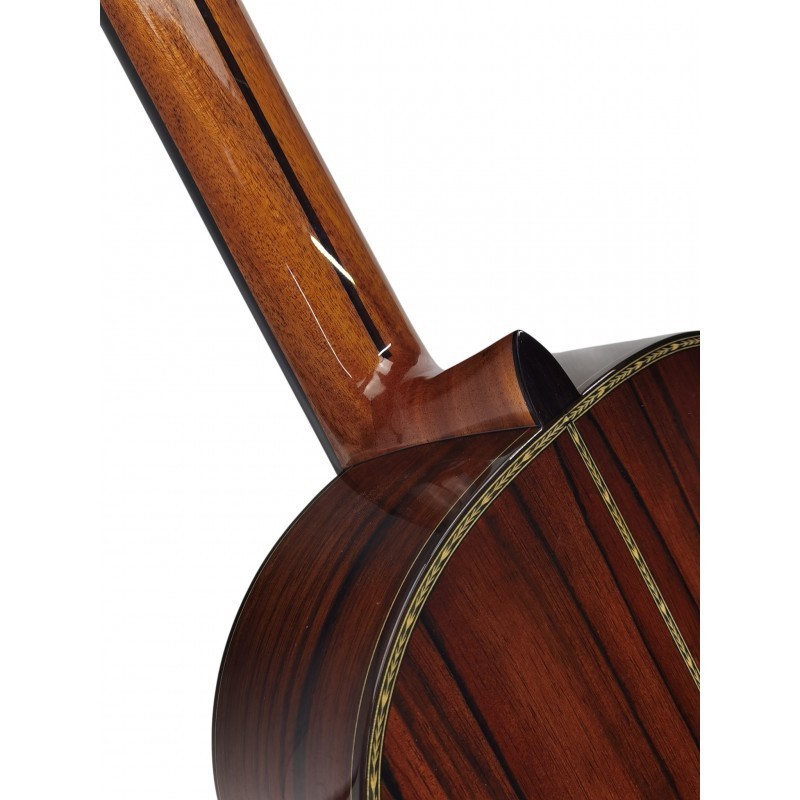 GALLARDOPALOSAN  Antonio de Toledo José María Gallardo del Rey Palosanto de Patagonia Guitarra clásica 