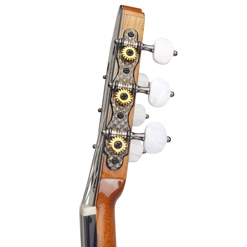 GALLARDOPALOSAN  Antonio de Toledo José María Gallardo del Rey Palosanto de Patagonia Guitarra clásica 
