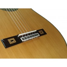GALLARDOPALOSAN  Antonio de Toledo José María Gallardo del Rey Palosanto de Patagonia Guitarra clásica 