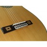 Antonio de Toledo José María Gallardo del Rey Palosanto de Patagonia Guitarra clásica