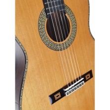 GALLARDOPALOSAN  Antonio de Toledo José María Gallardo del Rey Palosanto de Patagonia Guitarra clásica 