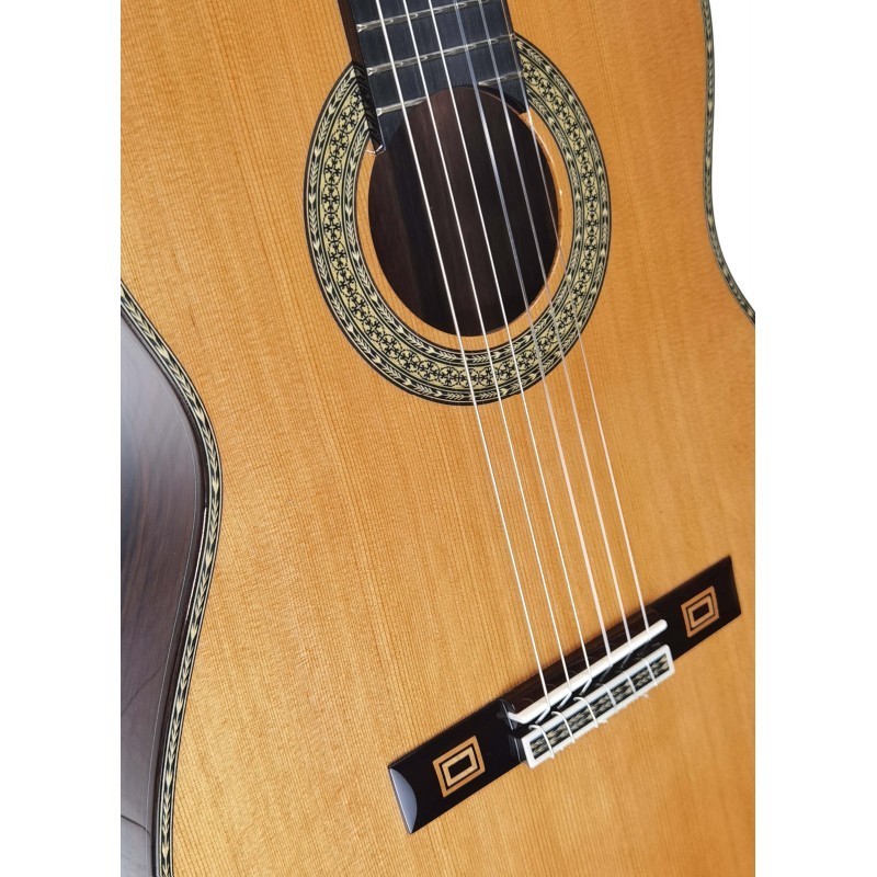 GALLARDOPALOSAN  Antonio de Toledo José María Gallardo del Rey Palosanto de Patagonia Guitarra clásica 