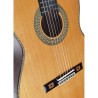 Antonio de Toledo José María Gallardo del Rey Palosanto de Patagonia Guitarra clásica