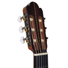 GALLARDOPALOSAN  Antonio de Toledo José María Gallardo del Rey Palosanto de Patagonia Guitarra clásica 