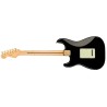 Fender Player Stratocaster LTD Black Gold Hardware