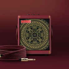 Positive Grid Spark MINI Vai Combo Guitarra Eléctrica