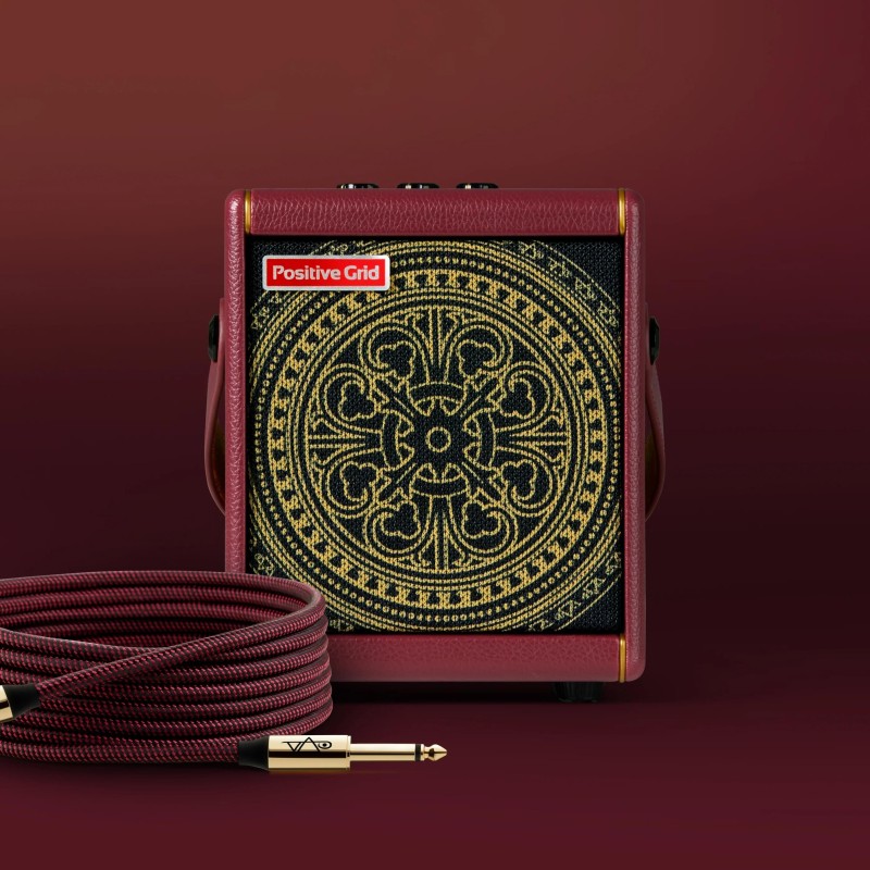 ARDI-S1013GEUSSS Positive Grid Spark MINI Vai Combo Guitarra Eléctrica