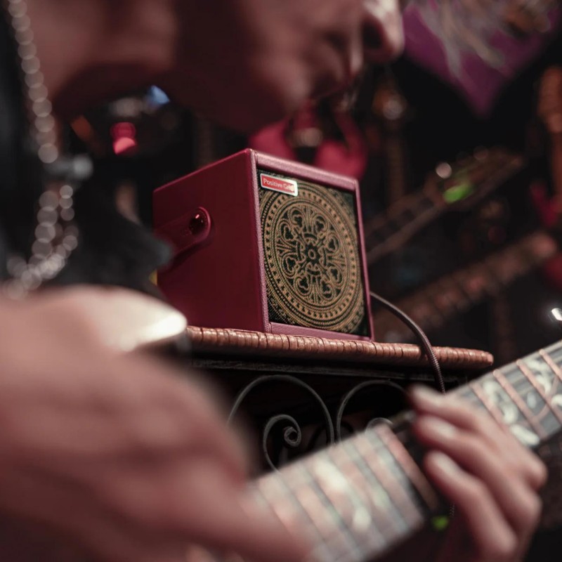 ARDI-S1013GEUSSS Positive Grid Spark MINI Vai Combo Guitarra Eléctrica