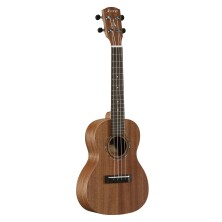 Alvarez RU22C Regent concierto