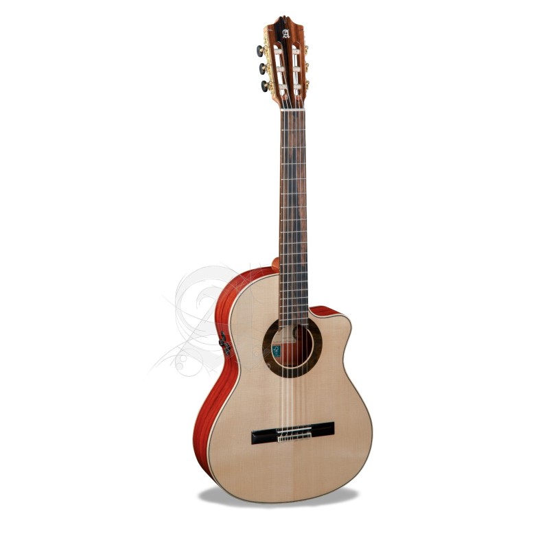 8897 V 9738 Alhambra GS Cut Away E8 Fishman Green Sustain + Funda Alhambra 9738 de 25mm