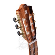 8897 V 9738 Alhambra GS Cut Away E8 Fishman Green Sustain + Funda Alhambra 9738 de 25mm