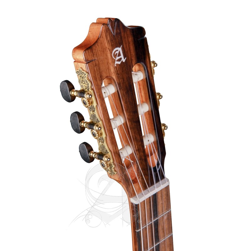 8897 V 9738 Alhambra GS Cut Away E8 Fishman Green Sustain + Funda Alhambra 9738 de 25mm