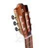 Alhambra GS Cut Away E8 Fishman Green Sustain + Funda Alhambra 9738 de 25mm