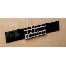 8897 V 9738 Alhambra GS Cut Away E8 Fishman Green Sustain + Funda Alhambra 9738 de 25mm