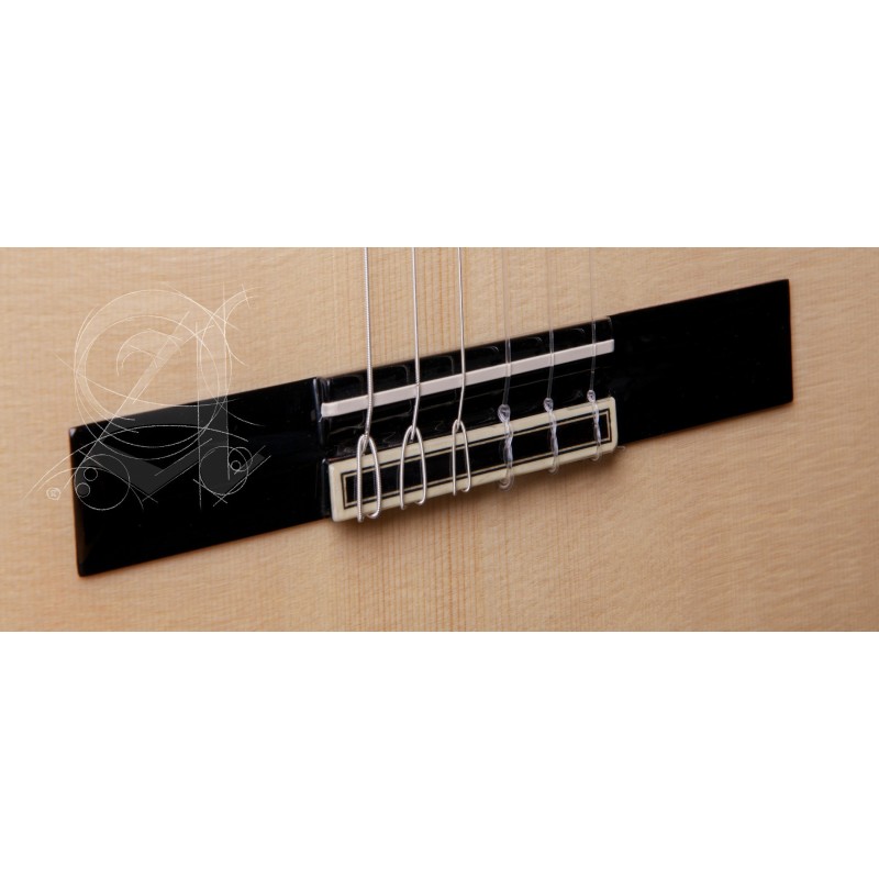 8897 V 9738 Alhambra GS Cut Away E8 Fishman Green Sustain + Funda Alhambra 9738 de 25mm