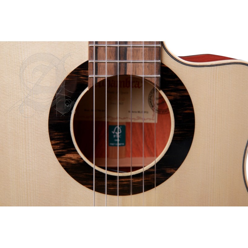 8897 V 9738 Alhambra GS Cut Away E8 Fishman Green Sustain + Funda Alhambra 9738 de 25mm