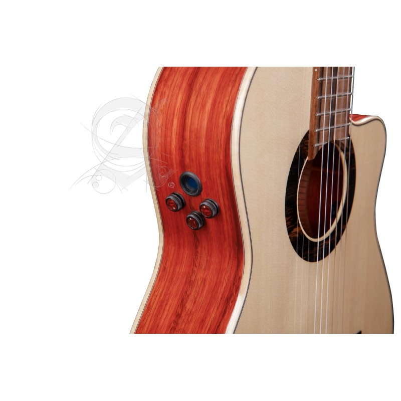 8897 V 9738 Alhambra GS Cut Away E8 Fishman Green Sustain + Funda Alhambra 9738 de 25mm