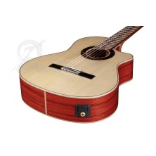 8897 V 9738 Alhambra GS Cut Away E8 Fishman Green Sustain + Funda Alhambra 9738 de 25mm
