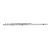 PEARL QUANTZ BREZZA B665RBE-HC CABEZA PLATA Y PATA DE SI Flauta Travesera